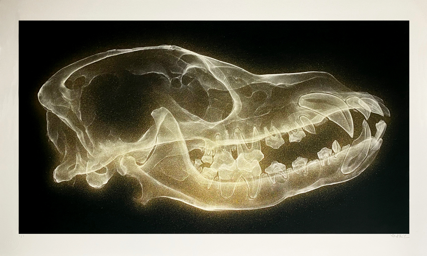 Shok-1 ‘Dog Skull (White Gold)’
